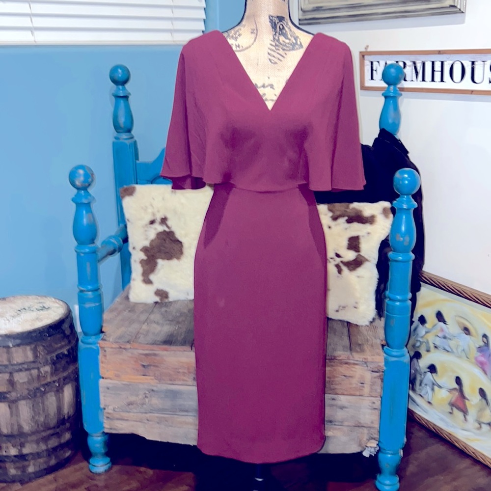 Dress the Population Burgundy Dress